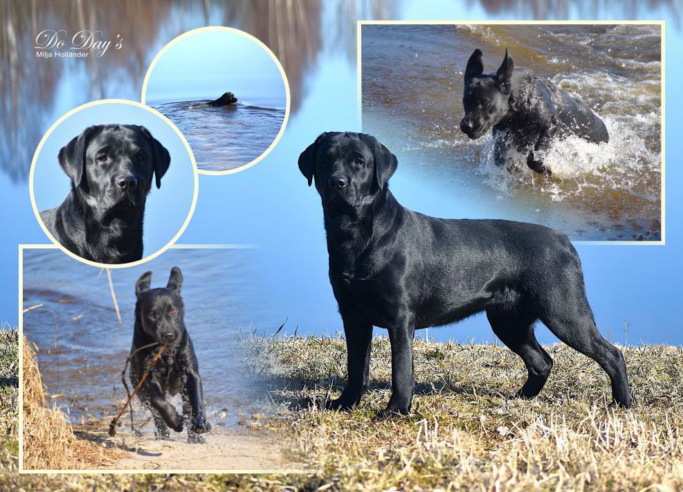 TERVETULOA - WELCOME