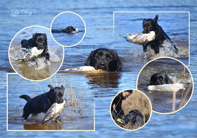 TERVETULOA - WELCOME !