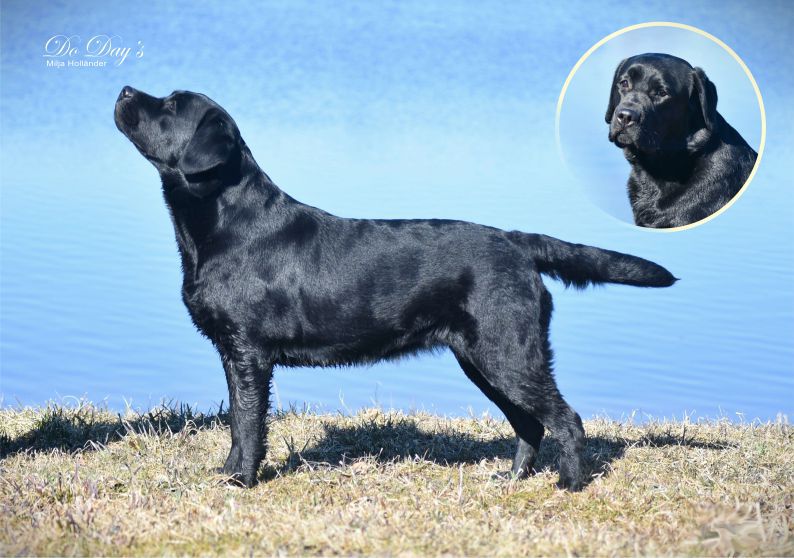 TERVETULOA - WELCOME !