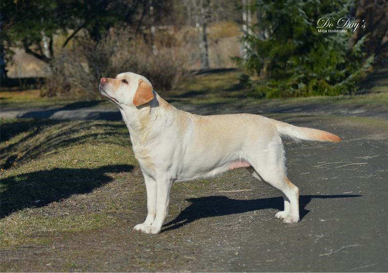 TERVETULOA - WELCOME !