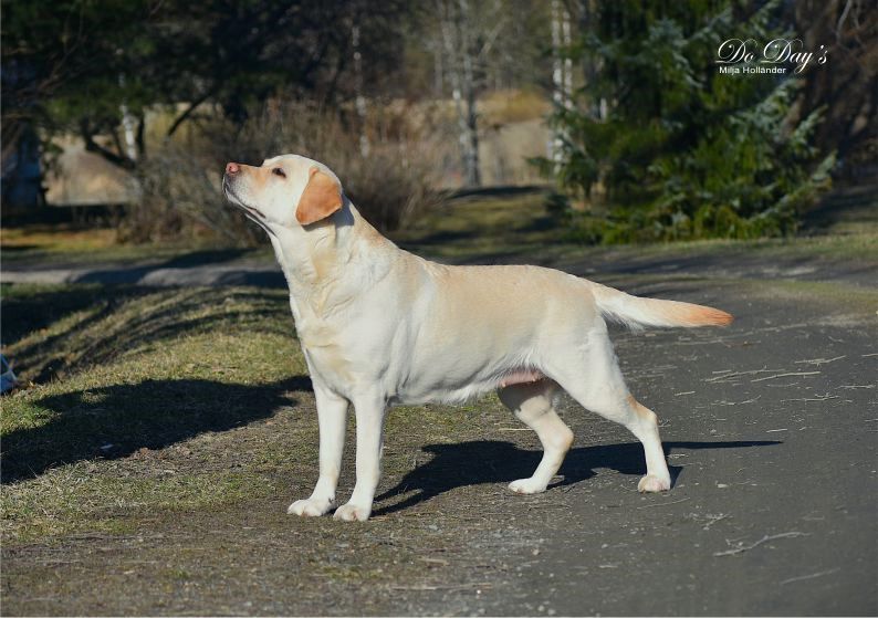 TERVETULOA - WELCOME !