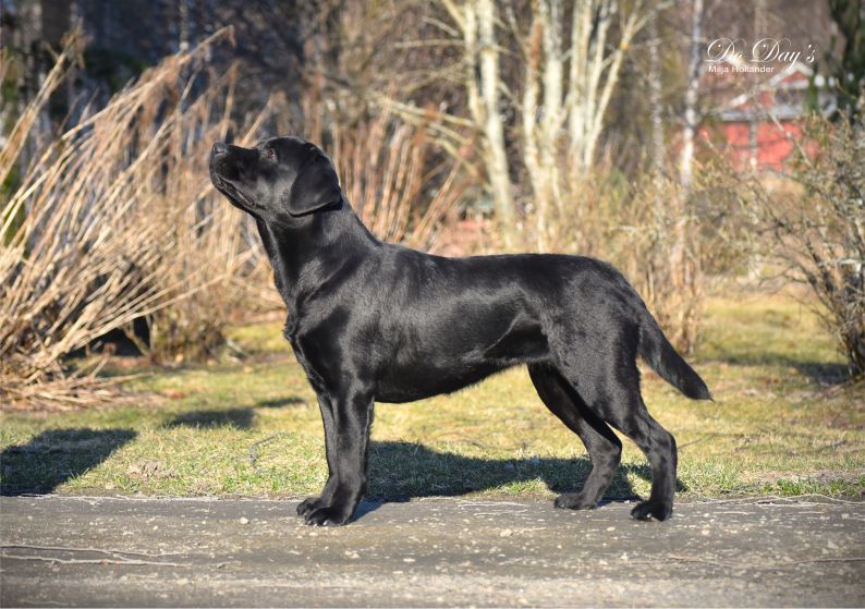 TERVETULOA - WELCOME