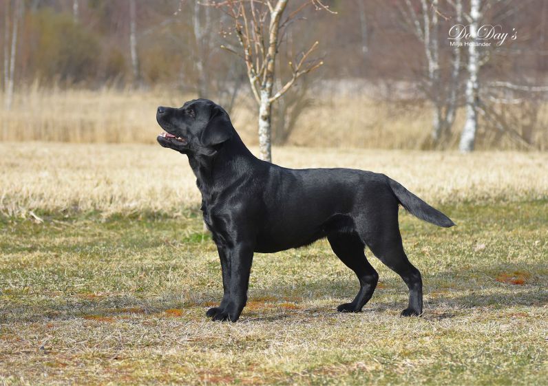 TERVETULOA - WELCOME