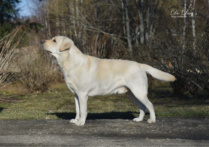 TERVETULOA - WELCOME