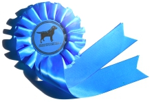 COPYRIGHT MILJA HOLLANDER