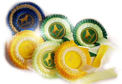 copyright milja holl&auml;nder