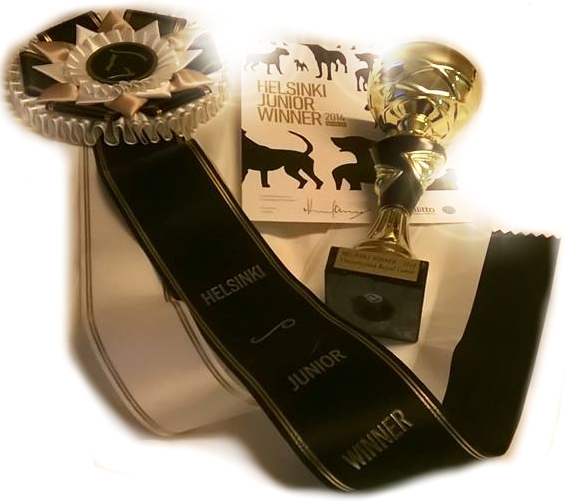 copyright mari pollari