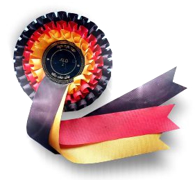 COPYRIGHT MILJA HOLLÄNDER