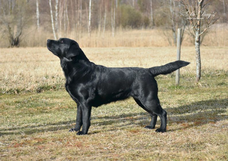 TERVETULOA - WELCOME